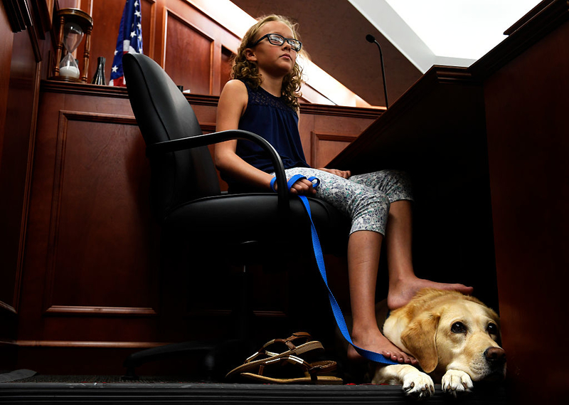 Dieser Golden Retriever hilft jungen Opfern während Gerichtsverhandlungen | Getty Images Photo By Joe Amon/The Denver Post