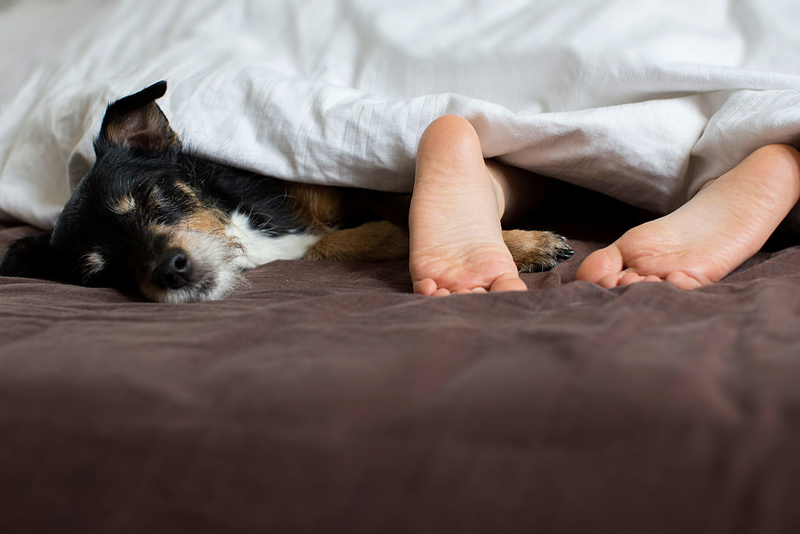 If They Sleep With You, They Love You | Getty Images Photo by Classen/ullstein bild