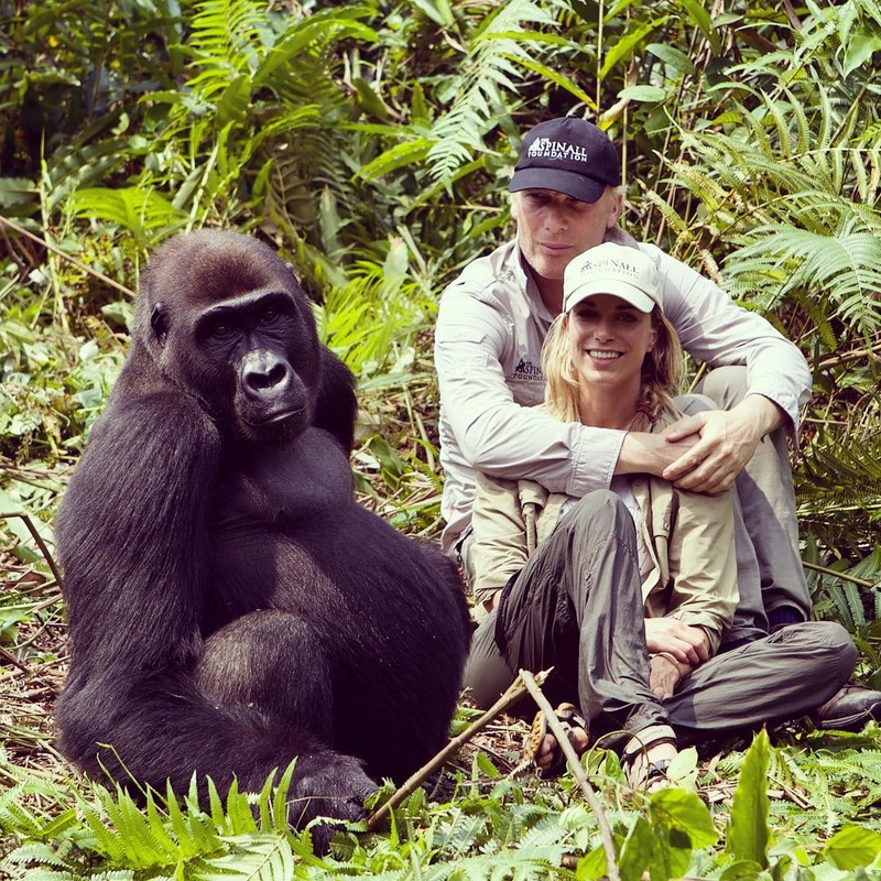 Should You Approach Gorillas? | Instagram/@victoria__aspinall