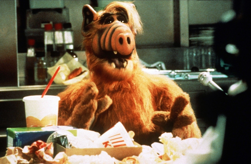 Why Was ALF Always Hungry? | Alamy Stock Photo