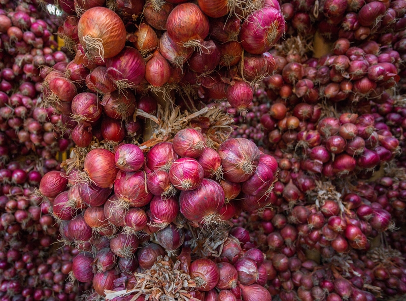 They Stored More Than Thirty Million Pounds of Onions | Shutterstock