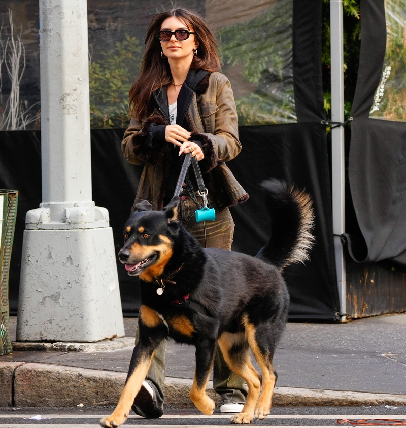Loves a Walk | Getty Images Photo by Gotham/GC Images