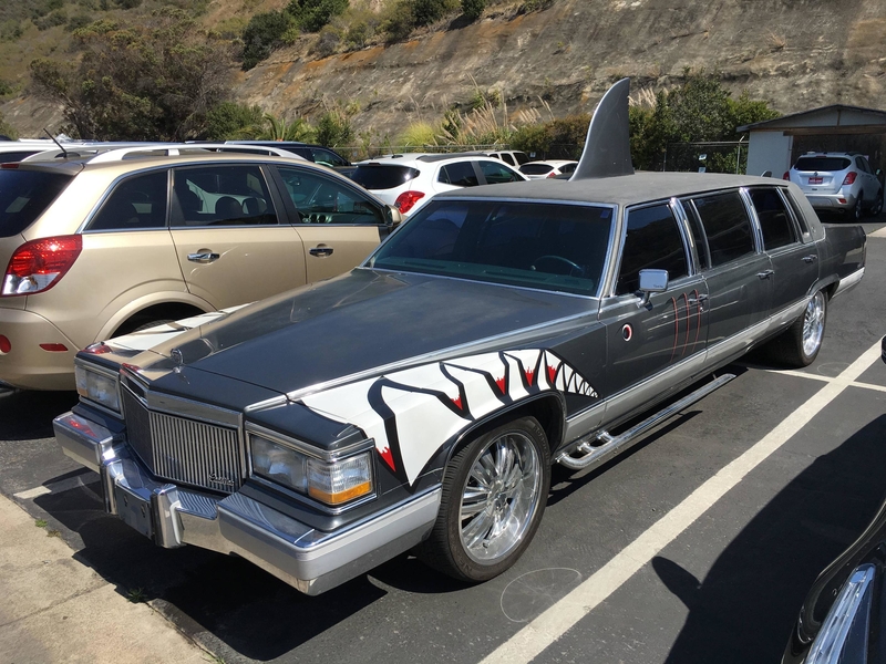 The Cadillac Shark Limo | Reddit.com/Bladerunner54