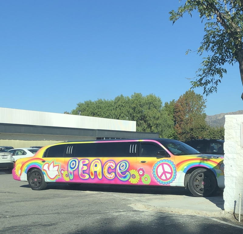 The Peaceful, Colorful Hippie Limo | Reddit.com/b_lion2814
