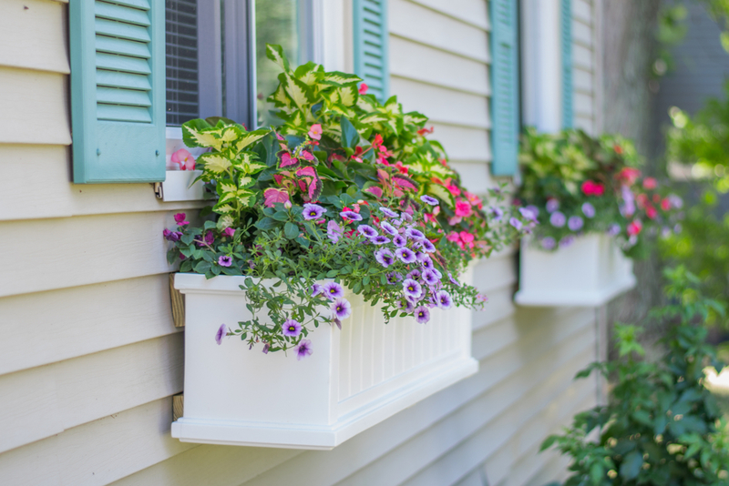 Blumenkästen vor einem Fenster anbringen | Shutterstock