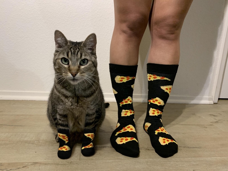 Matching Socks for Man and Beast | Imgur.com/thepizzacatparty