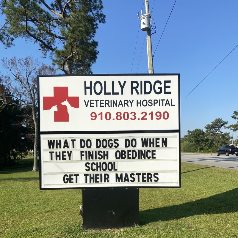 Higher Education and Enlightenment for Dogs | Facebook/@HollyRidgeVet