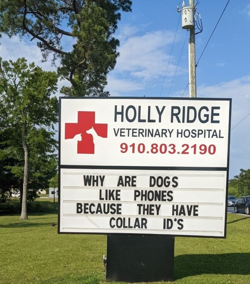 Phones vs. Dogs | Facebook/@HollyRidgeVet