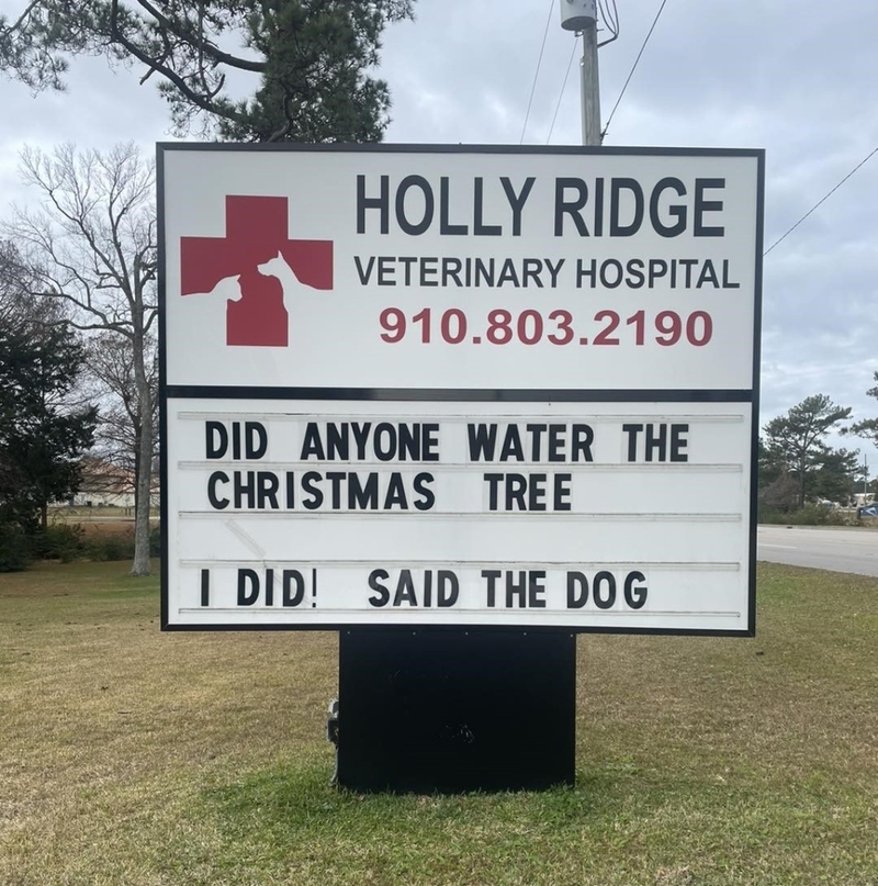 What Would We Do Without Dogs? | Facebook/@HollyRidgeVet