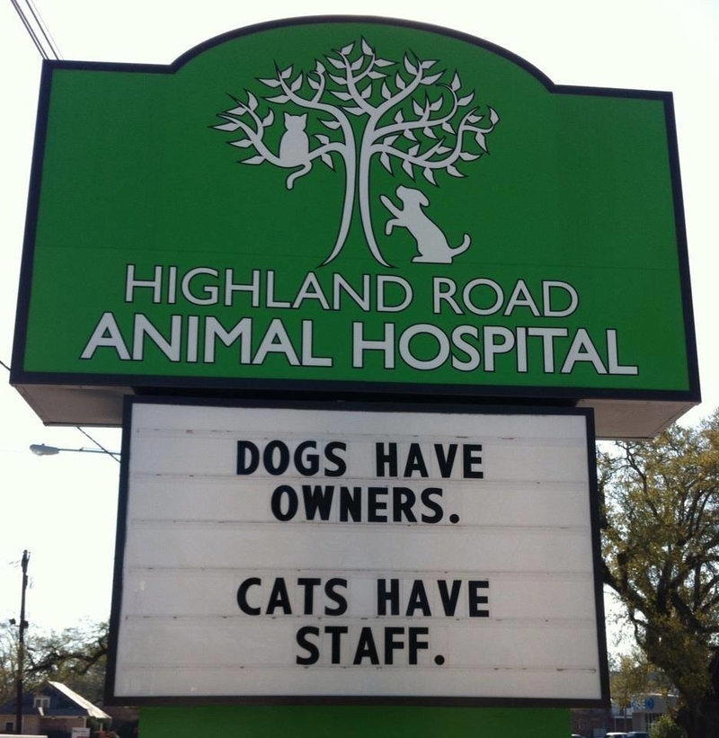 At Your Service | Facebook/@HighlandRoadAnimalHospital