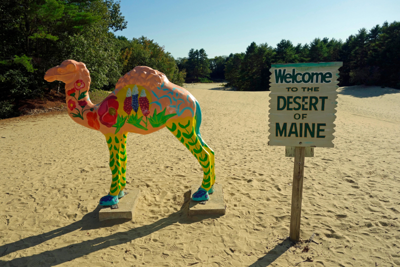 The Desert of Maine | Alamy Stock Photo by Cayman