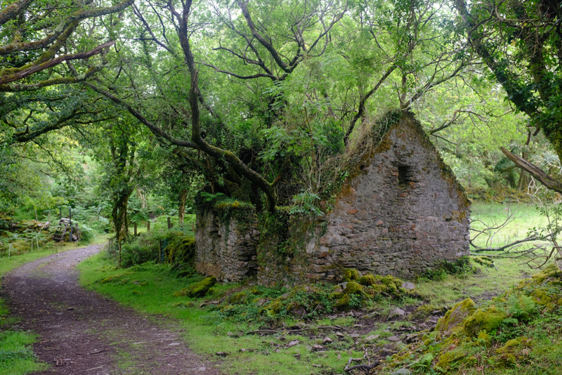 Verlassene Hütte am Kerry Way Wanderweg zwischen Sneem und Kenmare in Irland | Shutterstock