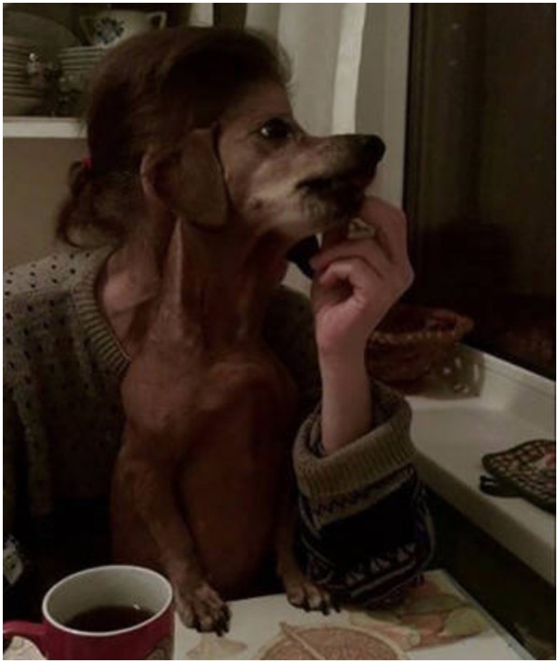 The Dog Woman is Here | Imgur.com/t0j55Hm
