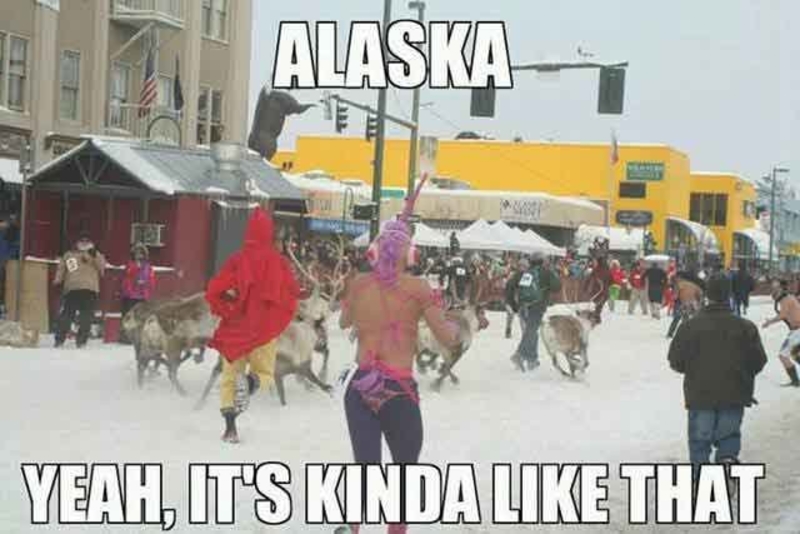 Alaska Teil 2 | memesmonkey