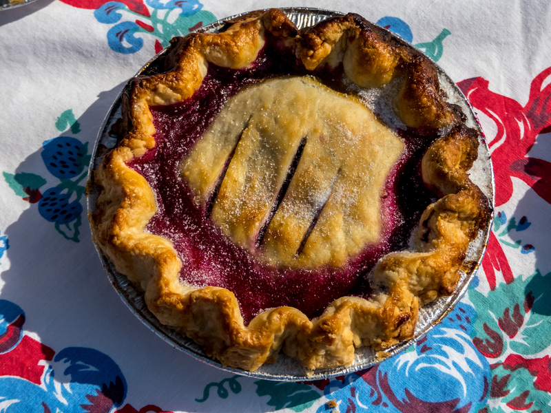 Montana – Huckleberry Pie | Shutterstock