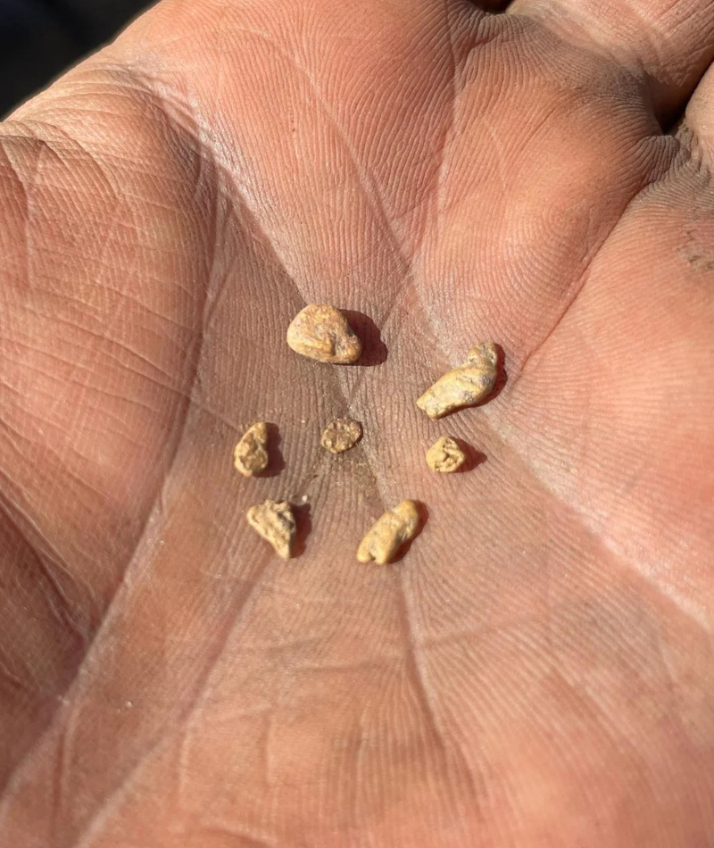 1.6 Grams of Gold | Reddit.com/Ancientpooontang