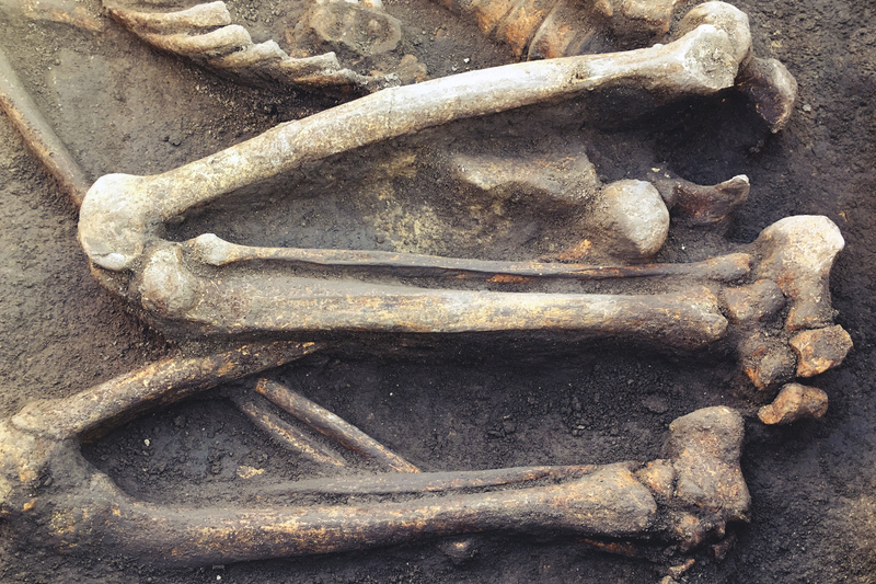 We Had Much Thicker Bones Back Then | Shutterstock