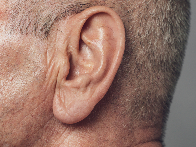 Give Those Ears a Wiggle | Shutterstock