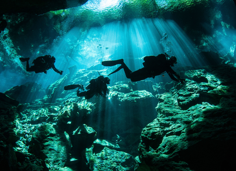 Diving in the Yucatan | Alamy Stock Photo 