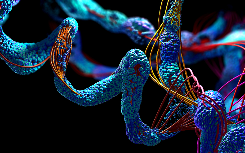 One Specific Gene | Shutterstock