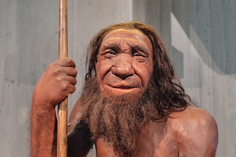 How Were Neanderthals Different? | Shutterstock