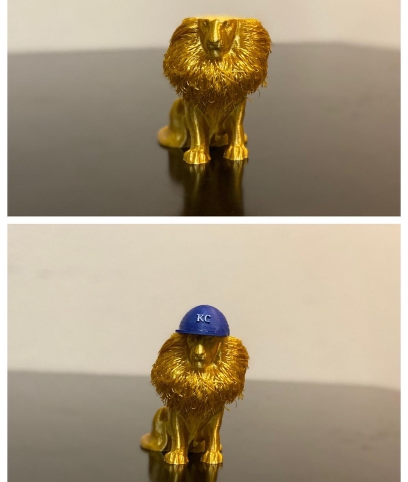 A Little Hat for a Little Lion | Reddit.com/welshhomebrew