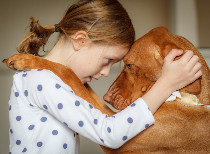 When Your Dog Shows Empathy | Getty Images Photo by Deborah Pendell