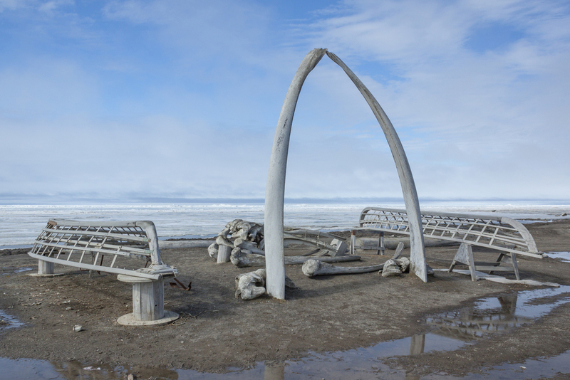 Whale Bone Arch | Shutterstock Photo by Michelle Holihan