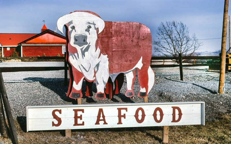 Seafood or Beef? | Getty Images Photo by Universal History Archive/Universal Images Group