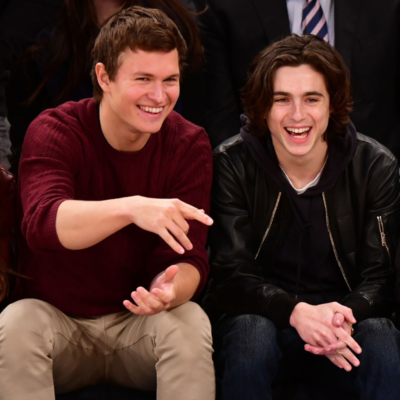 Timothee Chalamet & Ansel Elgort | Getty Images Photo by James Devaney