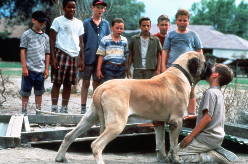 That One Dog | MovieStillsDB Photo by CaptainOT/ Twentieth Century Fox