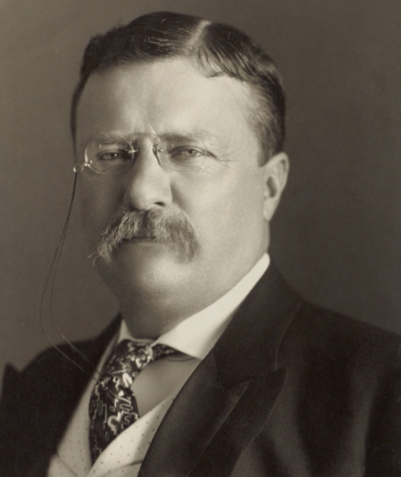 35. Theodore Roosevelt (Nr. 26) – IQ 153 | Shutterstock