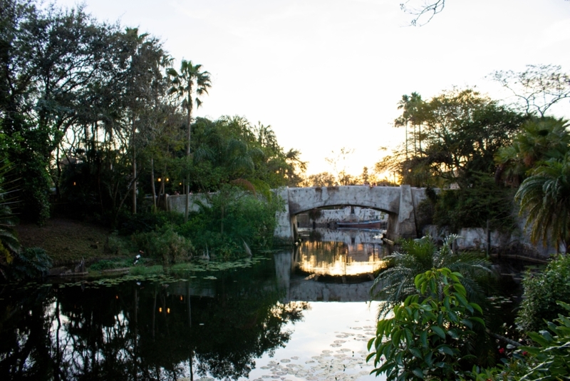 Disney’s Discovery Island – Lake Buena Vista, Florida | Alamy Stock Photo by Rustycanuck