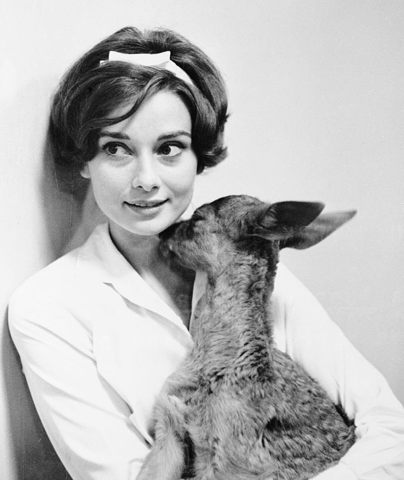 Audrey Hepburn / Audrey Kathleen Ruston | Getty Images Photo by Bettmann