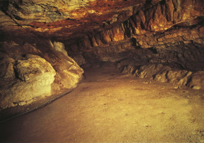 Cueva de Altamira | Getty Images Photo by DEA PICTURE LIBRARY/De Agostini