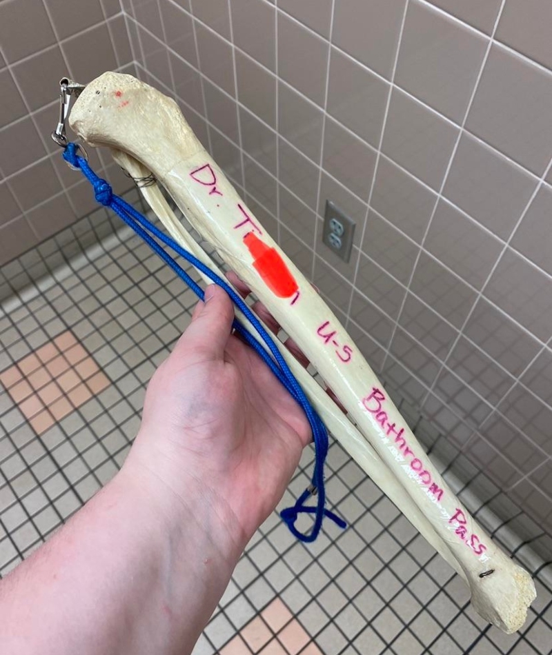 The Leg Bone’s Connected to the Bathroom Door | Reddit.com/LuciusWasTaken