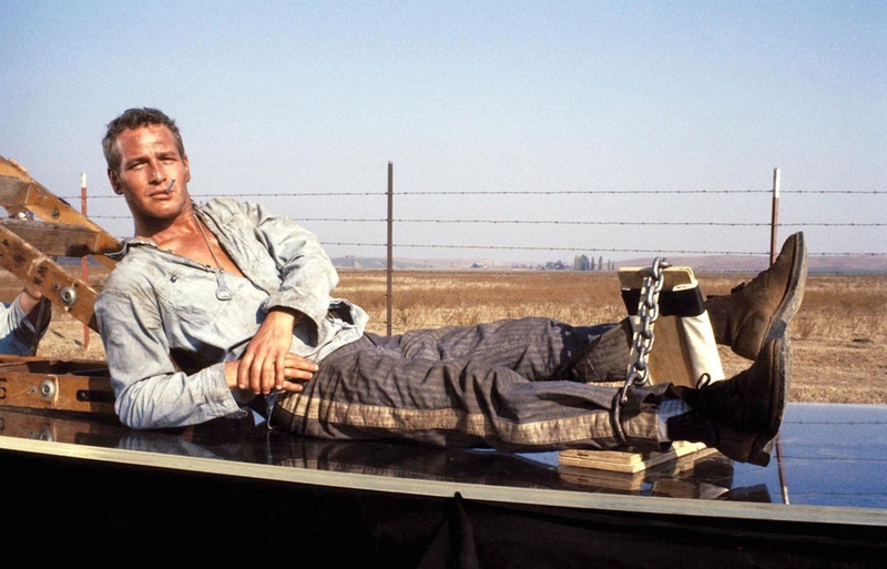 Behind the Scenes Facts From the Iconic Film ‘Cool Hand Luke’ | MovieStillsDB