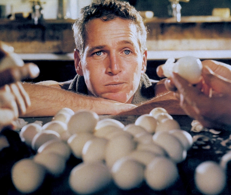 Newman Didn’t Like Eggs | Alamy Stock Photo