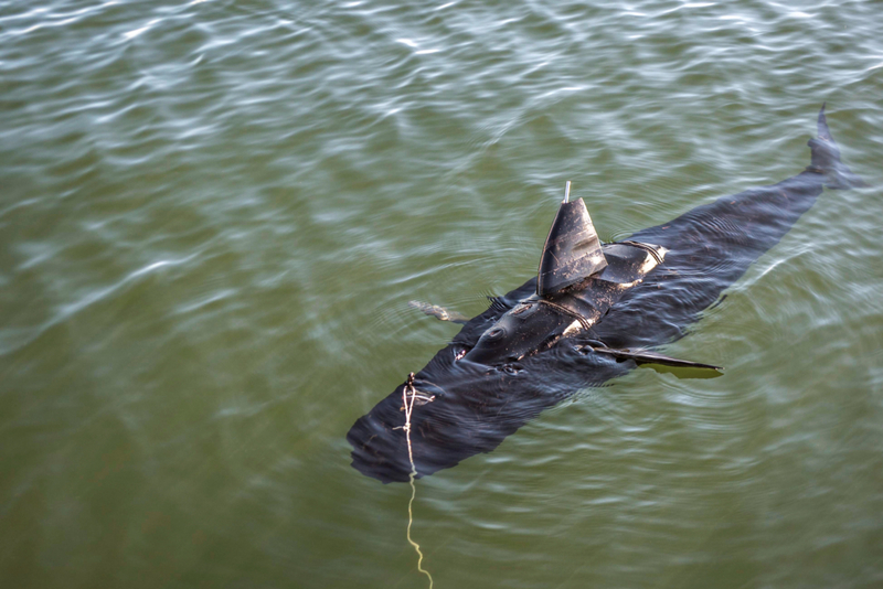 Drone Captures Robotic Shark | Alamy Stock Photo by US Navy Photo 