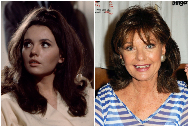 Dawn Wells | Getty Images Photo by Disney General Entertainment Content/ABC Photo Archives & Albert L. Ortega