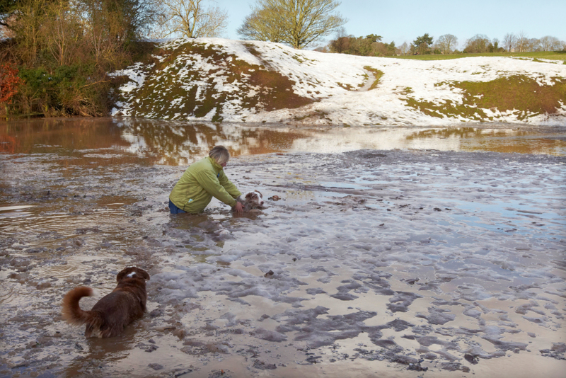 Into A Freezing Lake To Save A Dog | Alamy Stock Photo