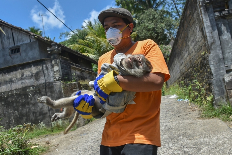 Threat Of An Eruption Prompts A Rescue Mission | Getty Images Photo by BAY ISMOYO/AFP Contributor