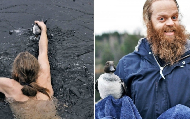 This Man Jumped Into a Frozen Lake To Save A Bird | Imgur.com/UhtredofBebbanburg