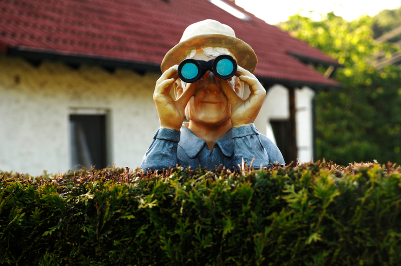 Creepy Neighbor | Alamy Stock Photo