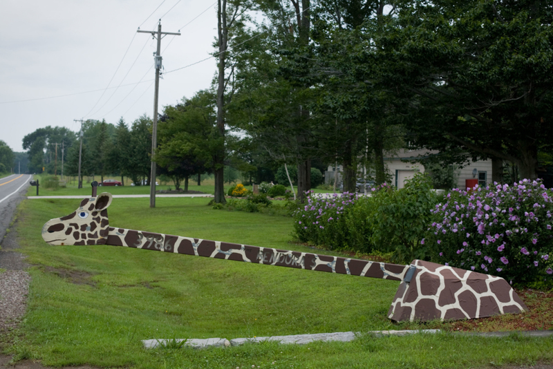 Giraffe Mailbox | Alamy Stock Photo
