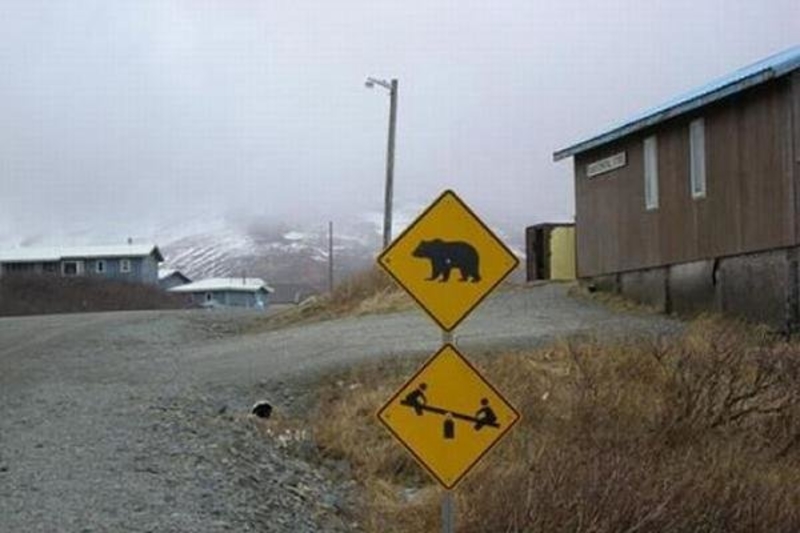 Bears And A Playground | 