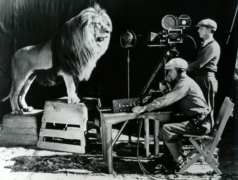 The MGM Lion | Alamy Stock Photo