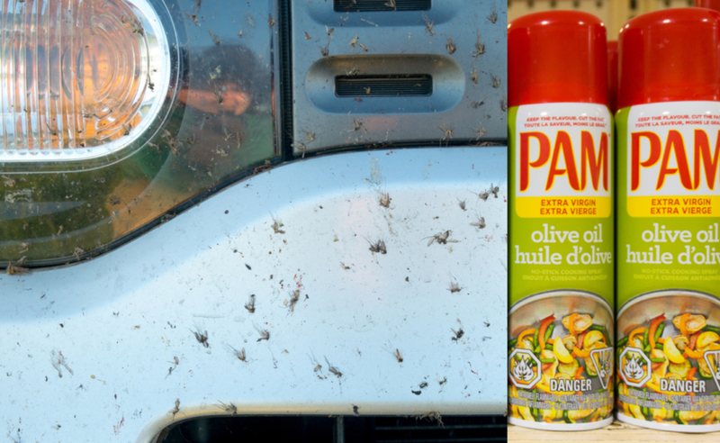 Use Pam Cooking Spray to Remove Bumper Bugs | Shutterstock