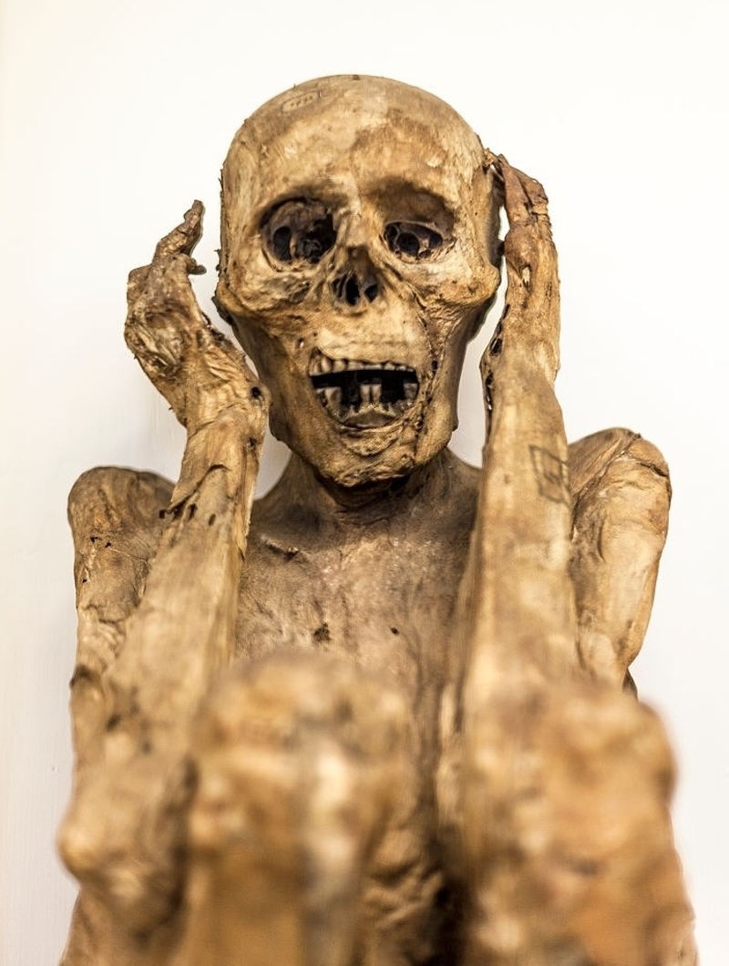A Mummy Went on Tour Once | Getty Images Photo by Jake Warga